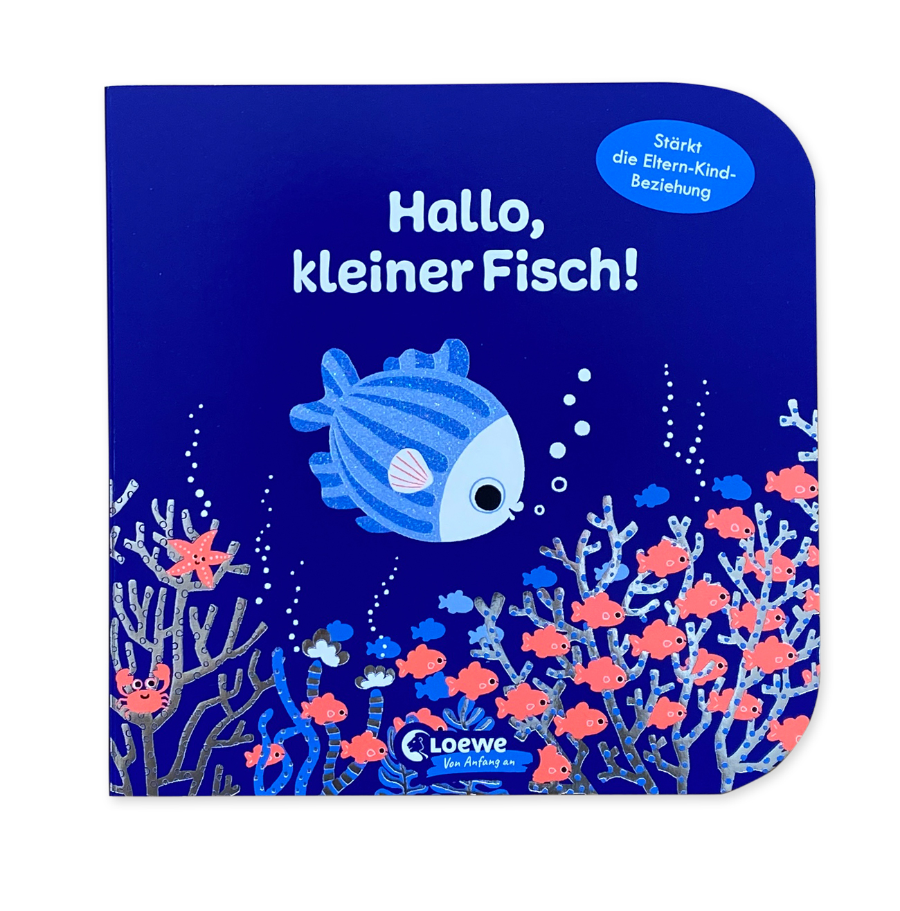 Hallo-kleiner-Fisch