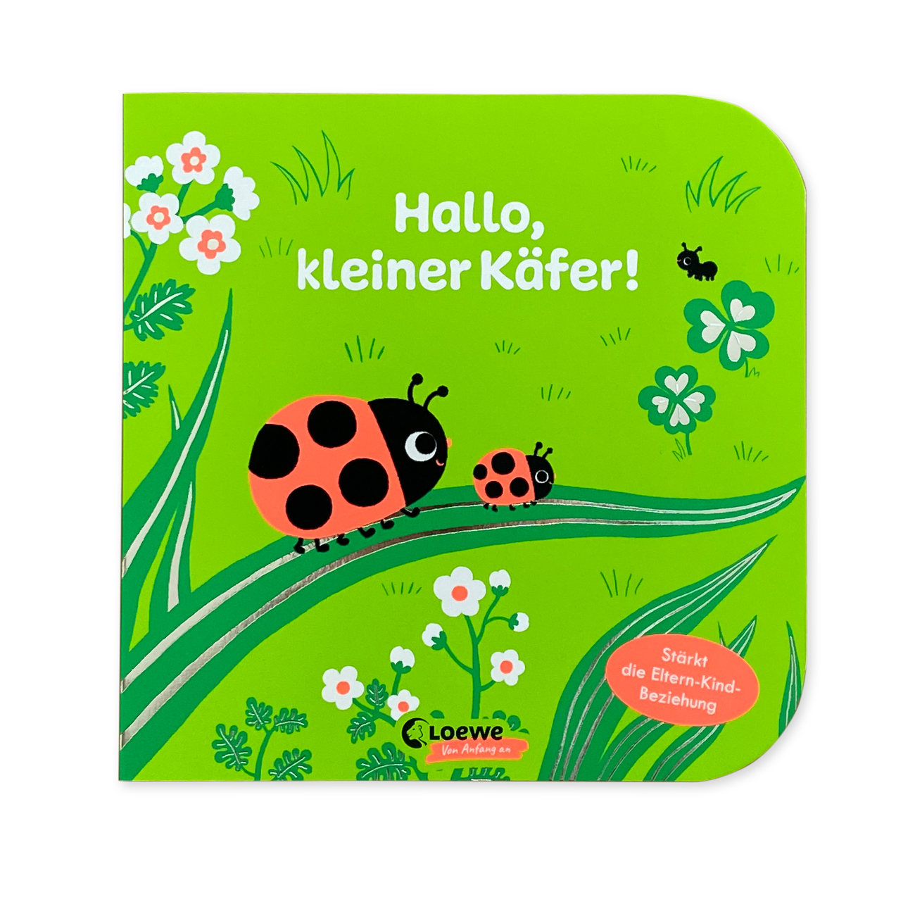 Hallo-kleiner-Kaefer